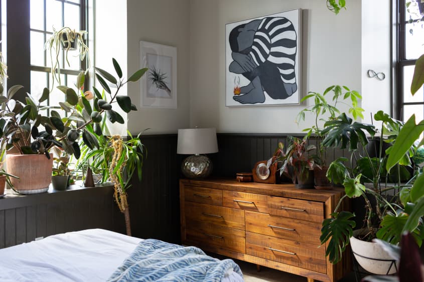 Hilton Carter Plant Doctor Industrial Loft Home Photos Apartment Therapy